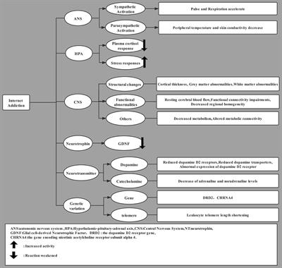 Exercise-Based Interventions for Internet Addiction: Neurobiological and Neuropsychological Evidence